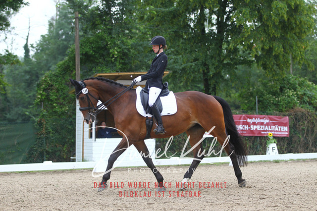 DKP40246 | Turniersportfotografie; Pferdefotografie; Dressurfotografie