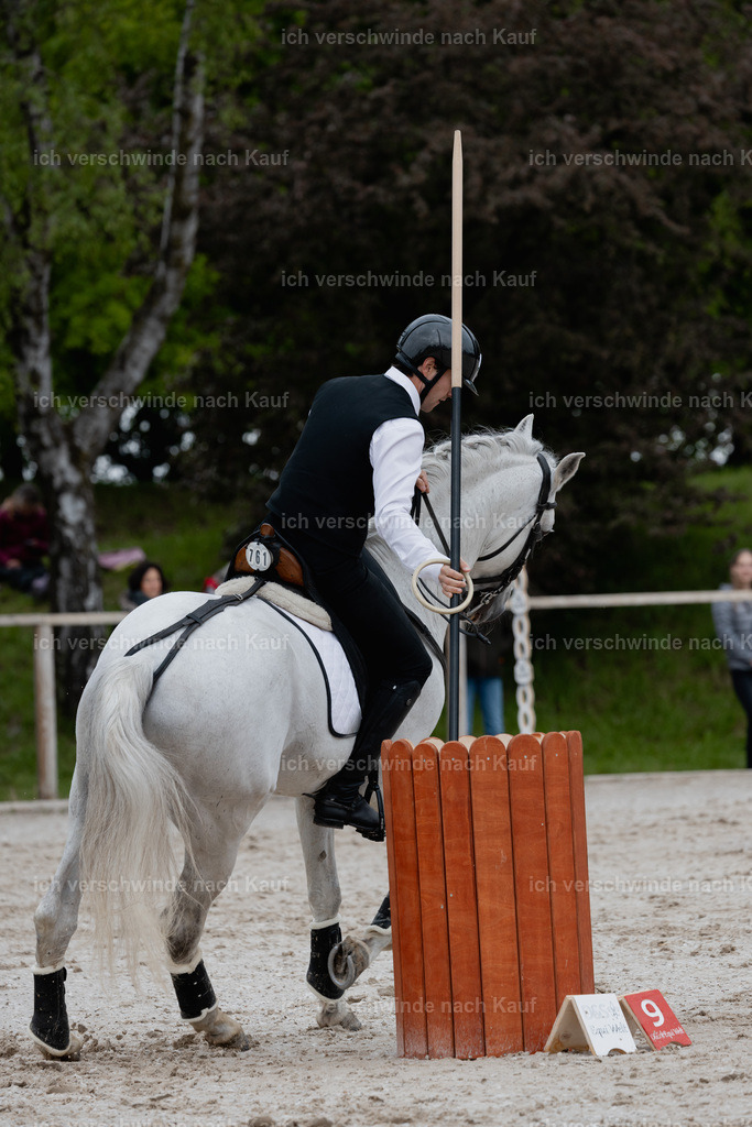 PI26_SP_StoibphotographyC2_C0562.jpg | working equitationturnier fotograf videograf stoibphotography marixx film working equitation deutschland reitsport turnierfotografie eventfotografie equestrian events
