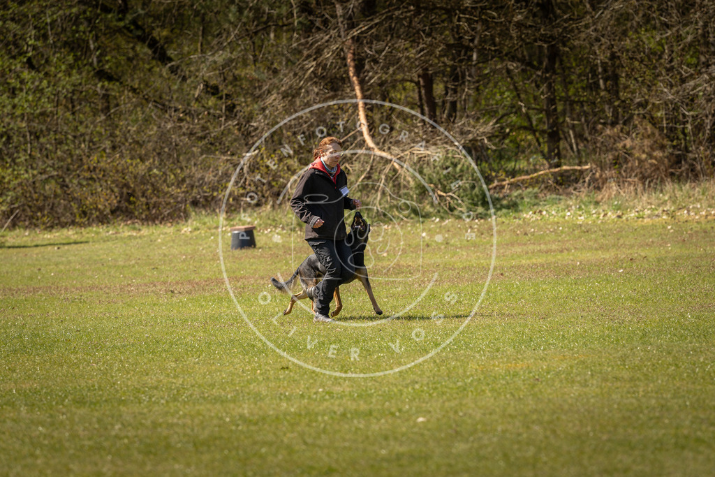 Pfotenfotografie_DV3A0922 | Hundefotografie, Tierfotograf, Pfotenfotografie, Fotoshooting Hund, Hunde Portrait, Hundesport, Hundeportraits, Heideshooting, Hunde, Sportfotograf, Hundefotograf, Turnierhundsport, THS,  - Realisiert mit Pictrs.com