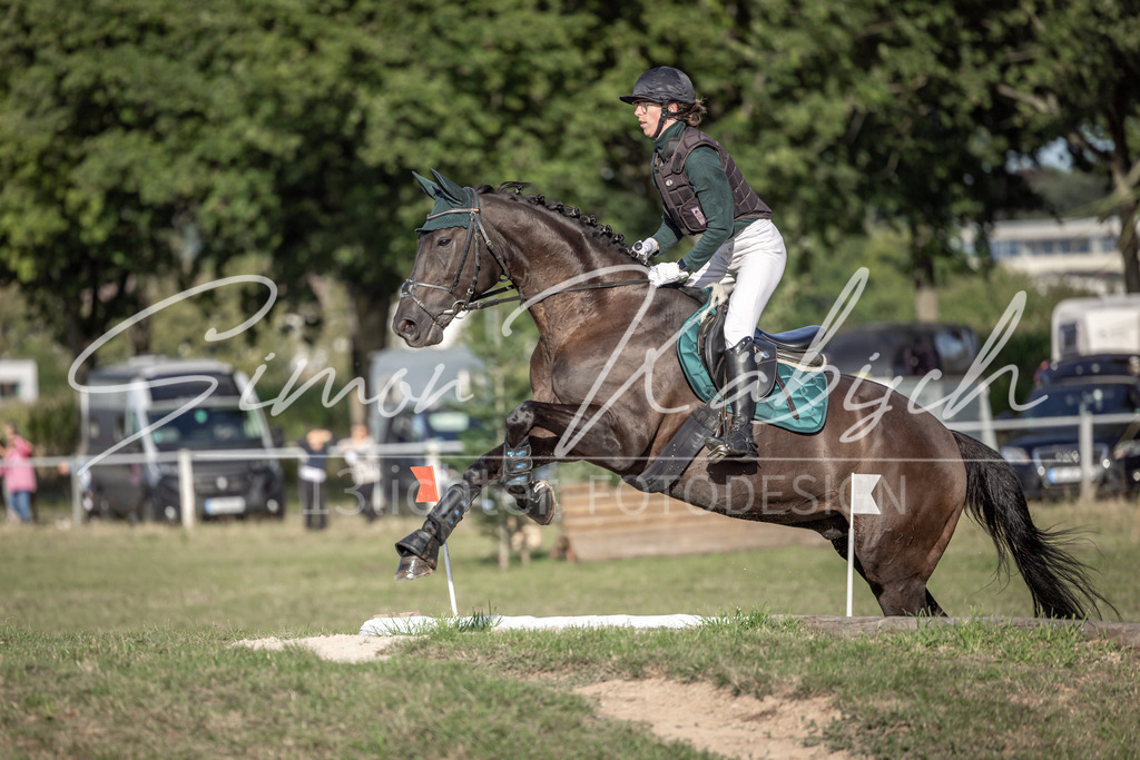 20250907-_3LI8817 | Tierfotografie Pferde, Hunde, Katzen, Haustiere.
Turnierfotografie Reitturniere, Reiten, Springreiten, Dressur in Hanau, dem Main-Kinzig-Kreis und dem Rhein-Main- Gebiet um Frankfurt