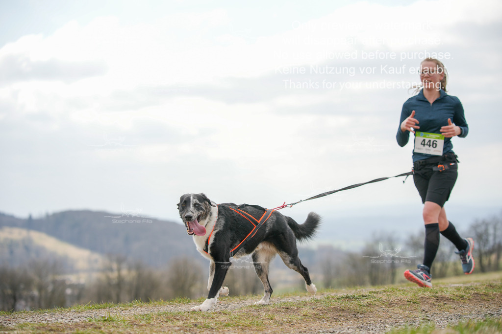 CaniXRunSA-292 | stephaniefillaphotographie - Realisiert mit Pictrs.com