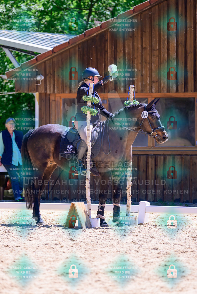 01052026-Giesenbach-02-Stiltrail-0174 | Fokus Hufschlag Fotografie - Realisiert mit Pictrs.com