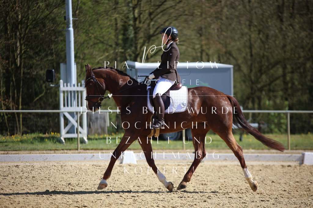 IMGT8624 | pl-fotografie