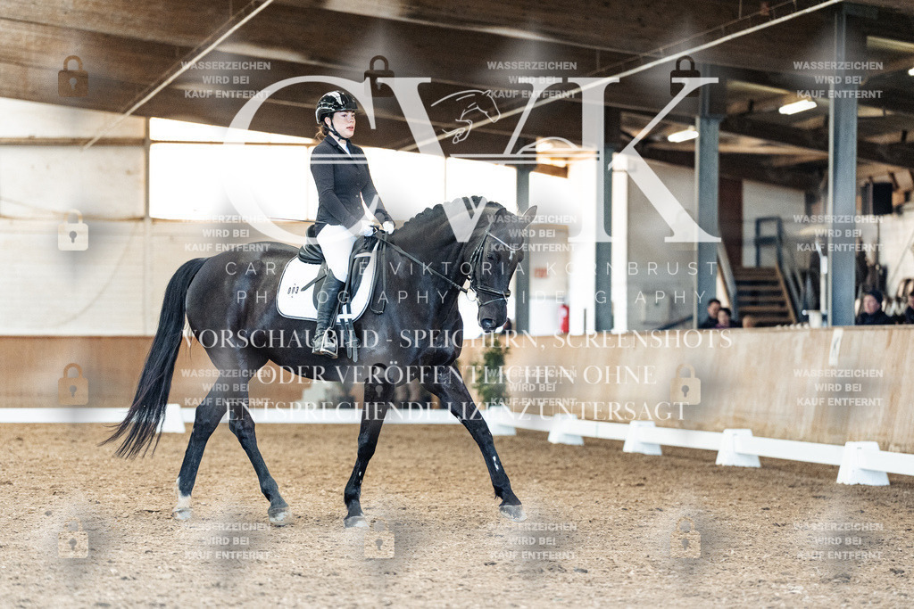 CK909504 | Turnierfotografie Pferdefotografie Trier Rheinland-Pfalz Pferdesport Reitsport Tierfotografie Sportfotografie Pferdevideo Pferdevideografie Equestrianvideography equestrianphotography  - Realisiert mit Pictrs.com