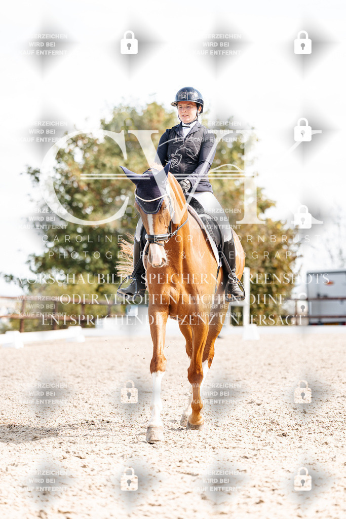 CK902442 | Turnierfotografie Pferdefotografie Trier Rheinland-Pfalz Pferdesport Reitsport Tierfotografie Sportfotografie Pferdevideo Pferdevideografie Equestrianvideography equestrianphotography  - Realisiert mit Pictrs.com
