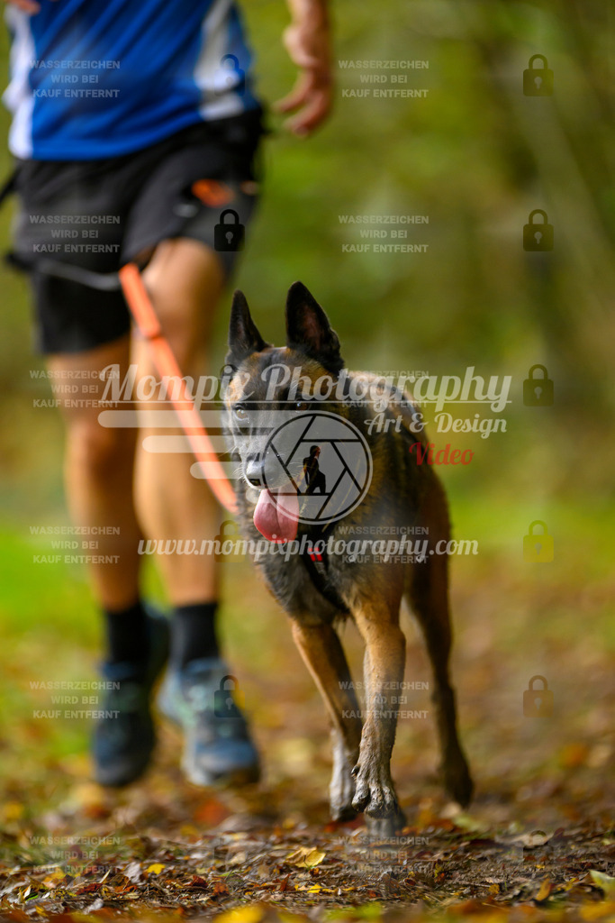 MompixPhotography_20TSB_E1_Run-30 | PayLife