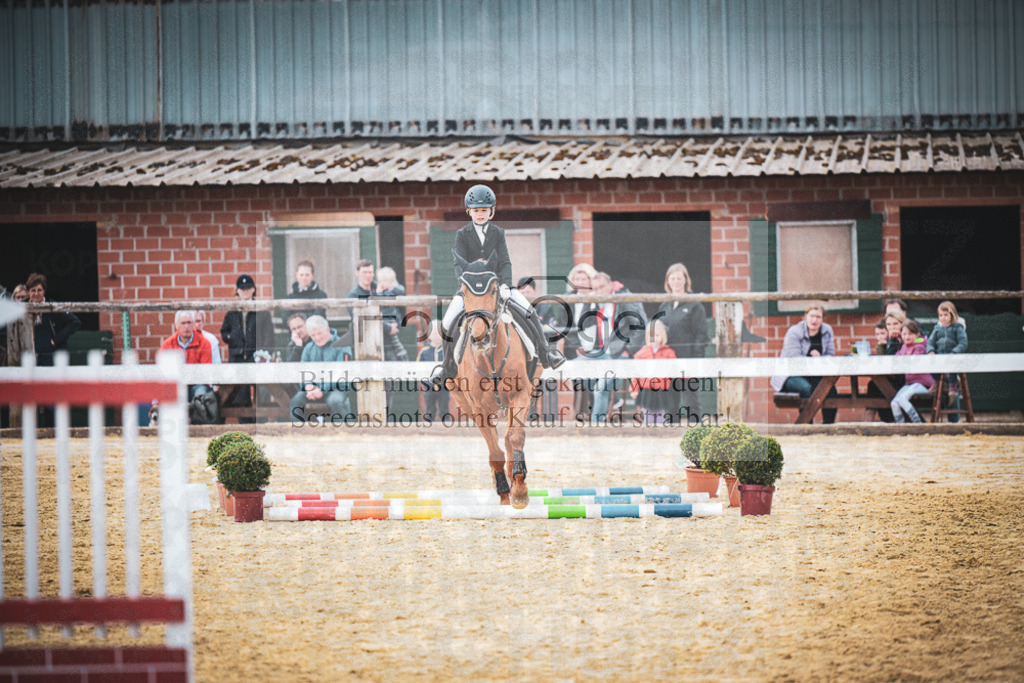 DOS_9182 | Entdecke hochwertige Reitturnierfotos von Foto Oger. Professionell, emotional und authentisch – jetzt Lieblingsmomente im Shop bestellen.Deutschlandweite Turnierfotografie. - Realisiert mit Pictrs.com