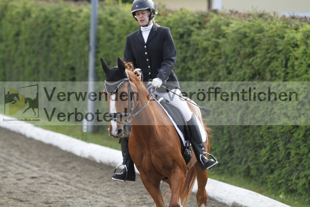 _MG_0753 | equestrian-live-com