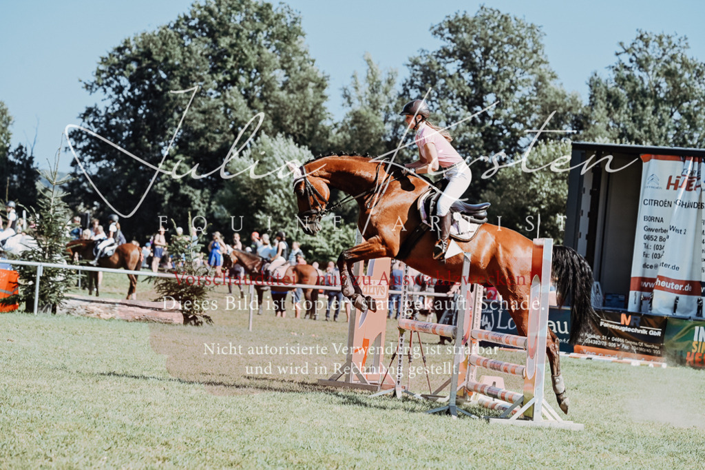 DSC_6547 | Pferde- und Turnierfotografie in Westsachsen. Pferdeportraits, Auftragszeichnungen und intuitive Kunst.
