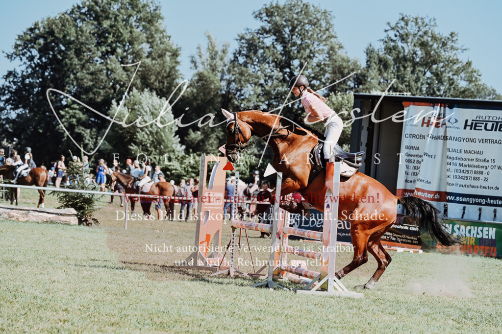 DSC_6546 | Pferde- und Turnierfotografie in Westsachsen. Pferdeportraits, Auftragszeichnungen und intuitive Kunst.