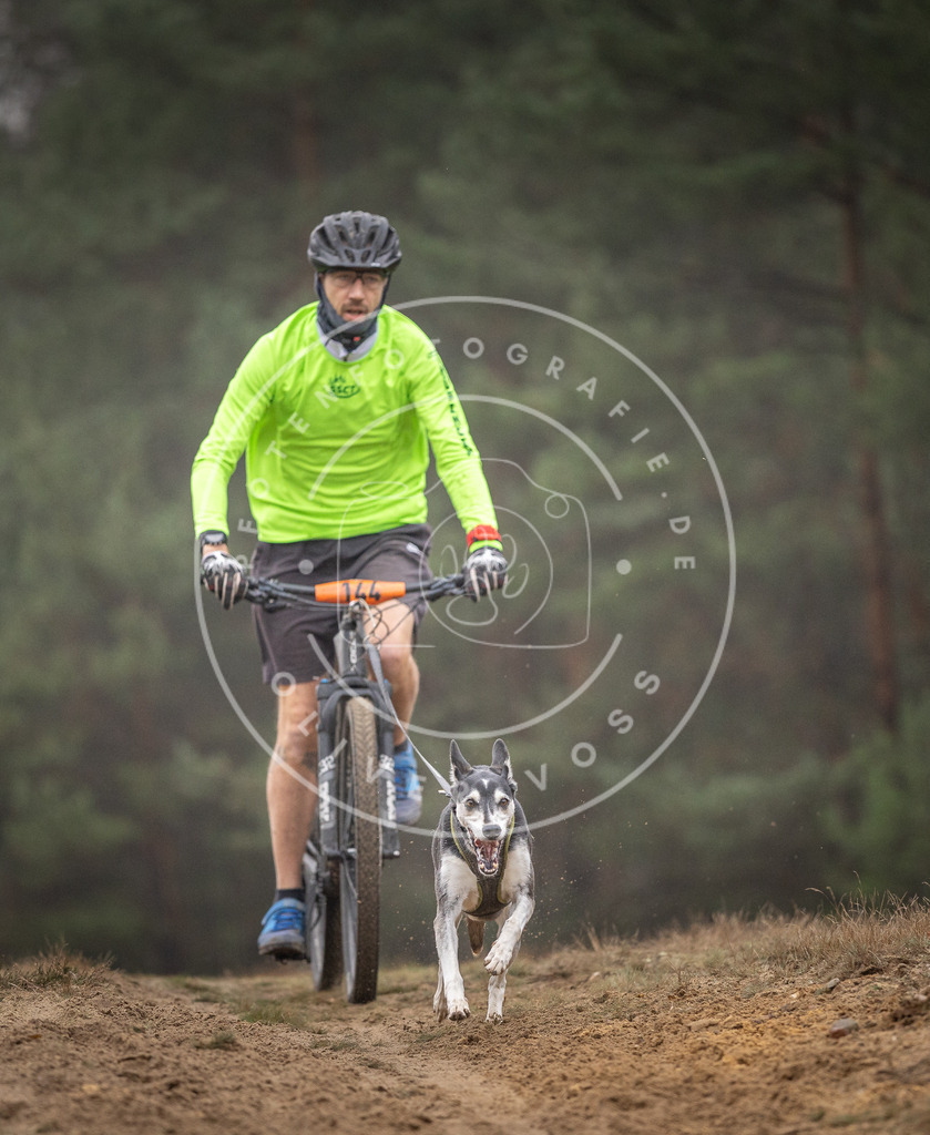 Pfotenfotografie_DV3A4001 | Hundefotografie, Tierfotograf, Pfotenfotografie, Fotoshooting Hund, Hunde Portrait, Hundesport, Hundeportraits, Heideshooting, Hunde, Sportfotograf, Hundefotograf, Turnierhundsport, THS,  - Realisiert mit Pictrs.com