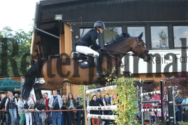 Weingarten_2022_Springprüfung_Kl.S_Barbara Steurer-Collee_Lucy 709 (7) | Alle Fotos der Reiterjournal Fotografin Doris Matthaes im Reiterjournal Online-Fotoshop. - Realisiert mit Pictrs.com