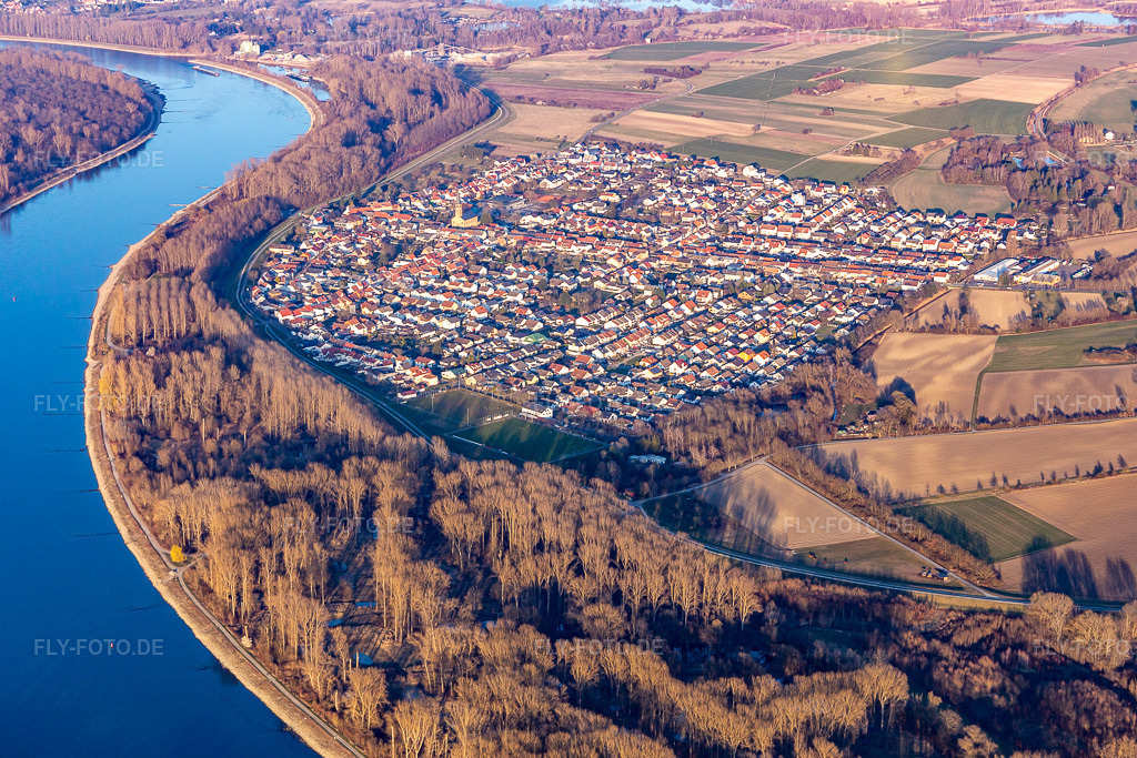 Luftbild: Ortsansicht am Rhein von Westen im Ortsteil Rheinhausen in Oberhausen-Rheinhausen im Bundesland Baden-Württemberg in Deutschland. Foto: IMG_130845.jpg vom 09.03.2022 durch Werner Riehm/FLY-FOTO.de