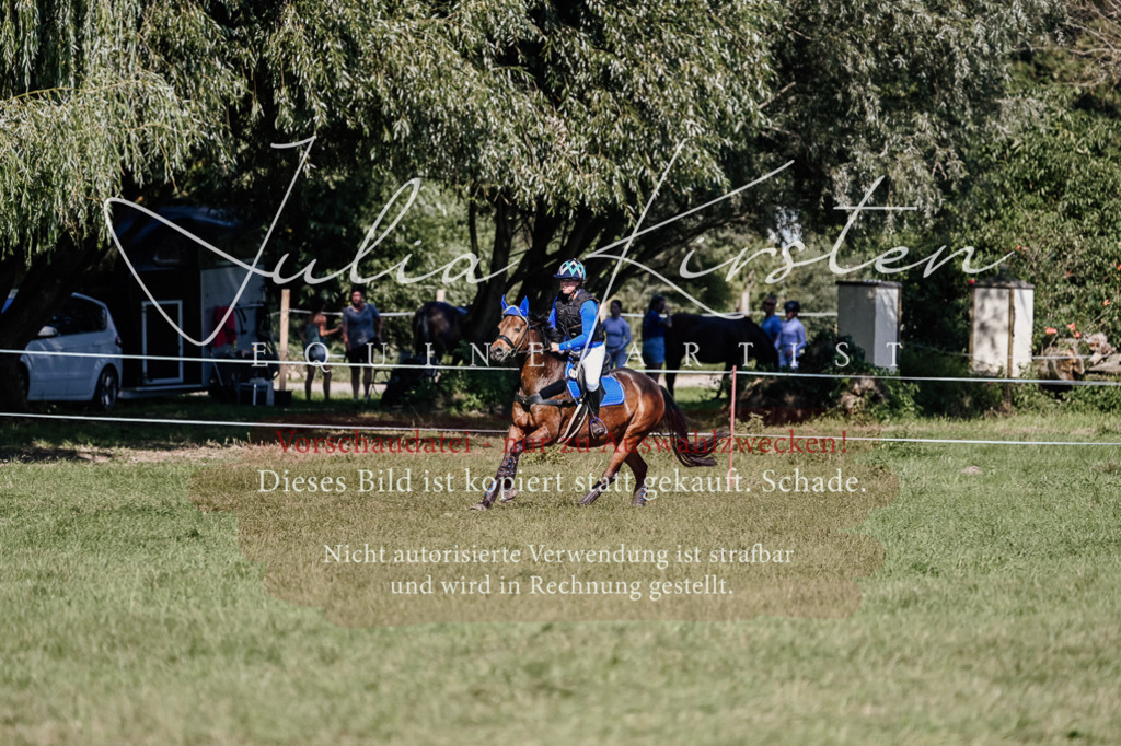 DSC_3110 | Pferde- und Turnierfotografie in Westsachsen. Pferdeportraits, Auftragszeichnungen und intuitive Kunst.