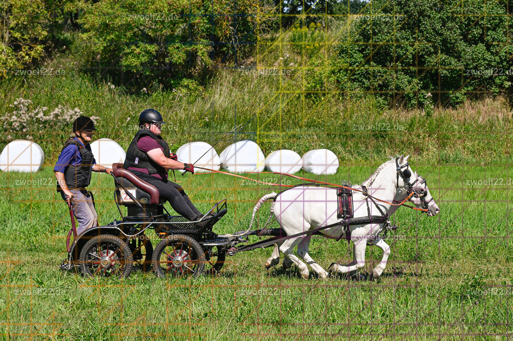 30 Jahre RFV Pulsnitz e.V., Pulsnitz am 09.08.2026 | 30Jahre Reit- und Fahrverein Pulsnitz e.V., Pulsnitz am 08.08.2026Zur 28. breitensportlichen Veranstaltung des RFV Pulsnitz e.V. fanden verschiedene Wettbewerbe in nahezu allen Disziplinen des Pferdesport statt.- Geländefahr-Wettbewerb - Realisiert mit Pictrs.com
