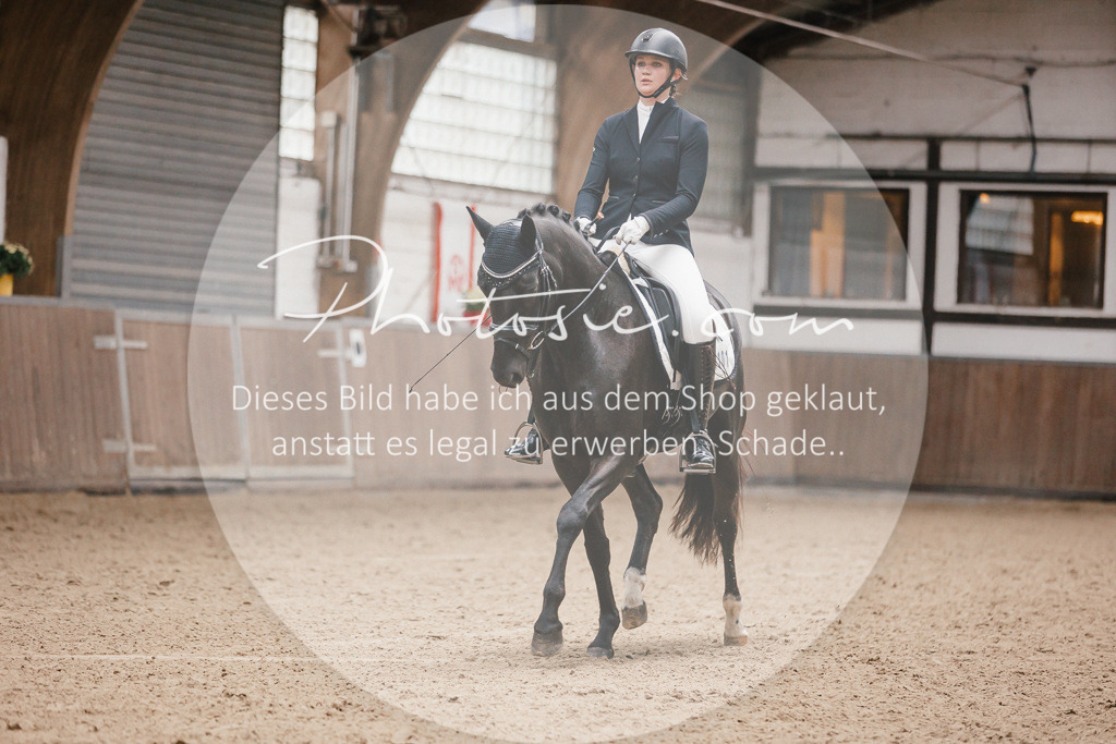 3I6A6147 | Stimmungsvolle Portraits und Reitsportfotografie im Ruhrgebiet und im Münsterland.

Pferdefotografie, Hundefotografie, Tierfotografie, Reportagen, Portraits von Tier und Mensch, Turnierfotografie in Bochum, Recklinghausen, Marl, Haltern am See, Dülmen.. - Realisiert mit Pictrs.com