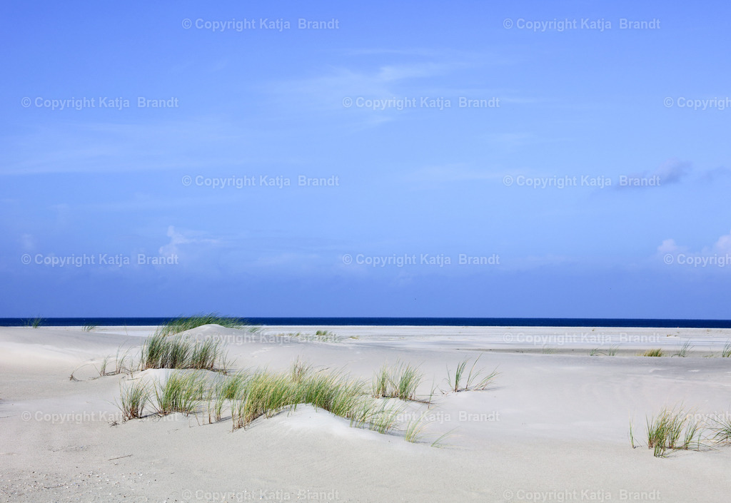 Gras_Meer-2A5A3031 | Katja Brandt 