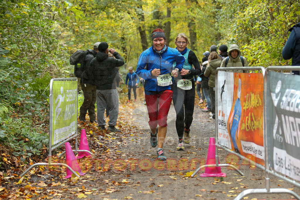 251026_1335_EX1_3723 | Sportfotografie im Rhein-Sieg Kreis, Köln, Bonn, NRW, Rheinland Pfalz, Hessen, etc. Unser Tätigkeitsfeld umfasst den Laufsport vom Volkslauf über den Marathon, Duathlon, Triathon bis zum Ultralauf wie Kölnpfad Ultra oder Schindertrail.