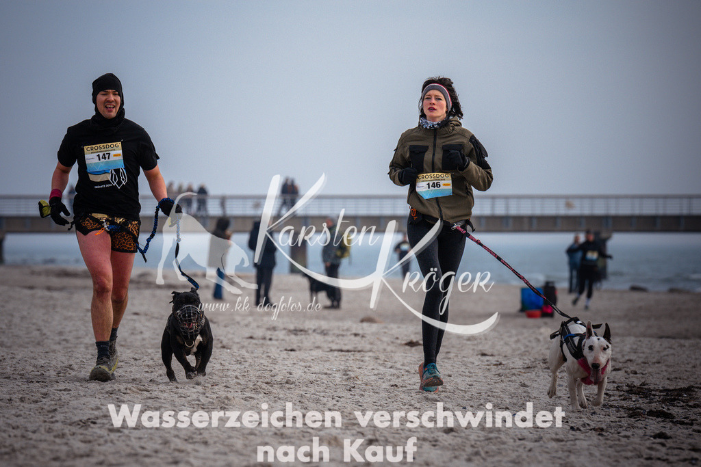 1056_ZZ96683 | kk-dogfotos