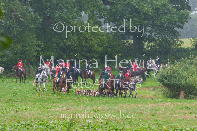 Jagd Perdoel 26 Sony-03740_MarinaHewig | Fotografie, FotoArt, PferdesportArt, Pferdesportfotografie, Landschaftsfotografie, Reisefotografie, Reise, Pferde - Realisiert mit Pictrs.com