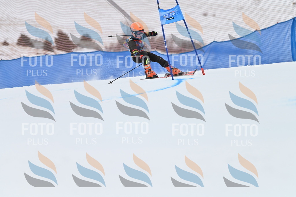 BGV_9875 | holidayphoto