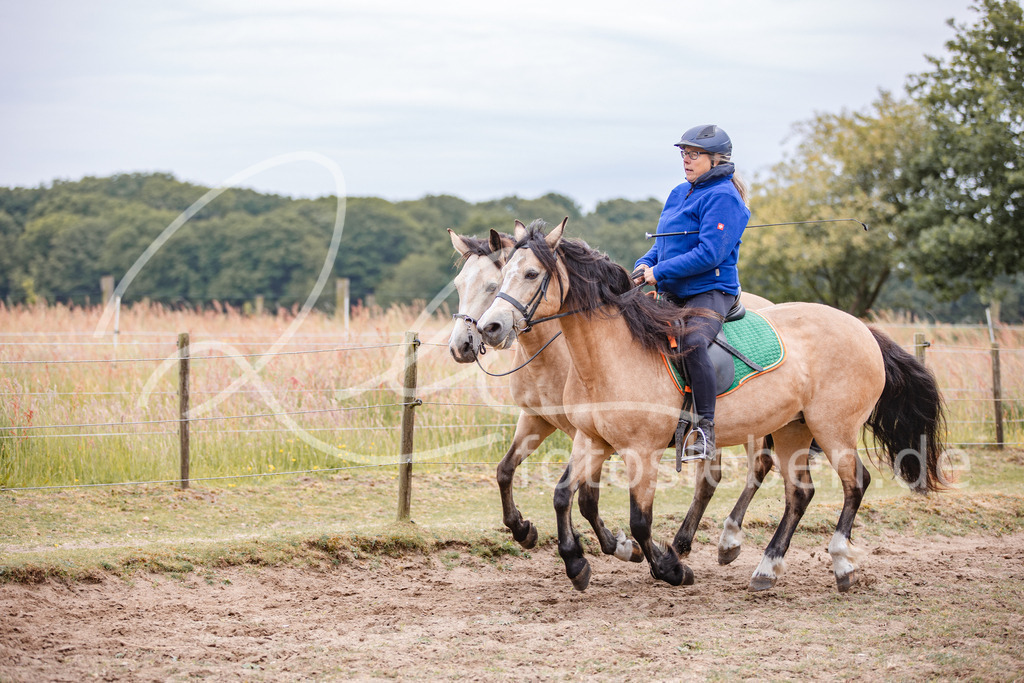 846A0012 | fotosleben - Realisiert mit Pictrs.com