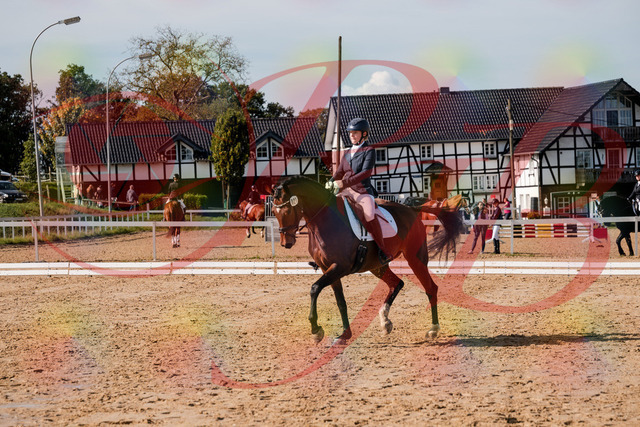 2026_10_03_Siefer-Hof_125538_Z63_62378437 | Professionelle Reitsport-, Turnier- und Eventfotografie von Robert Broda. Galerien mit ausgewählten und bearbeiteten Bildern direkt online ansehen und bestellen.