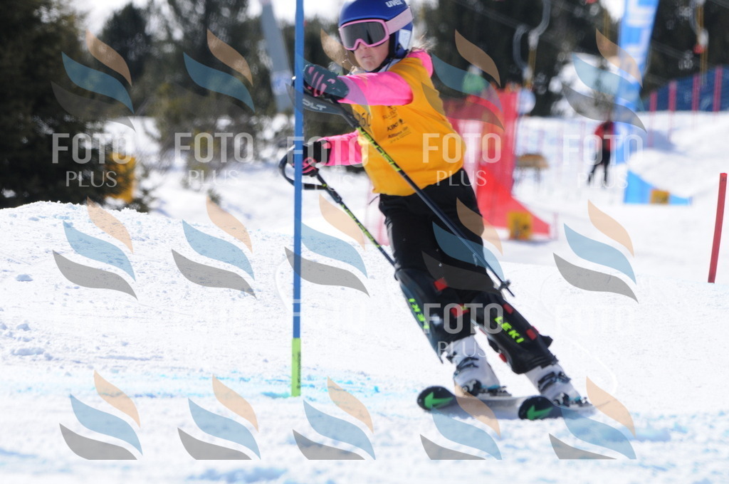 C8906 | holidayphoto