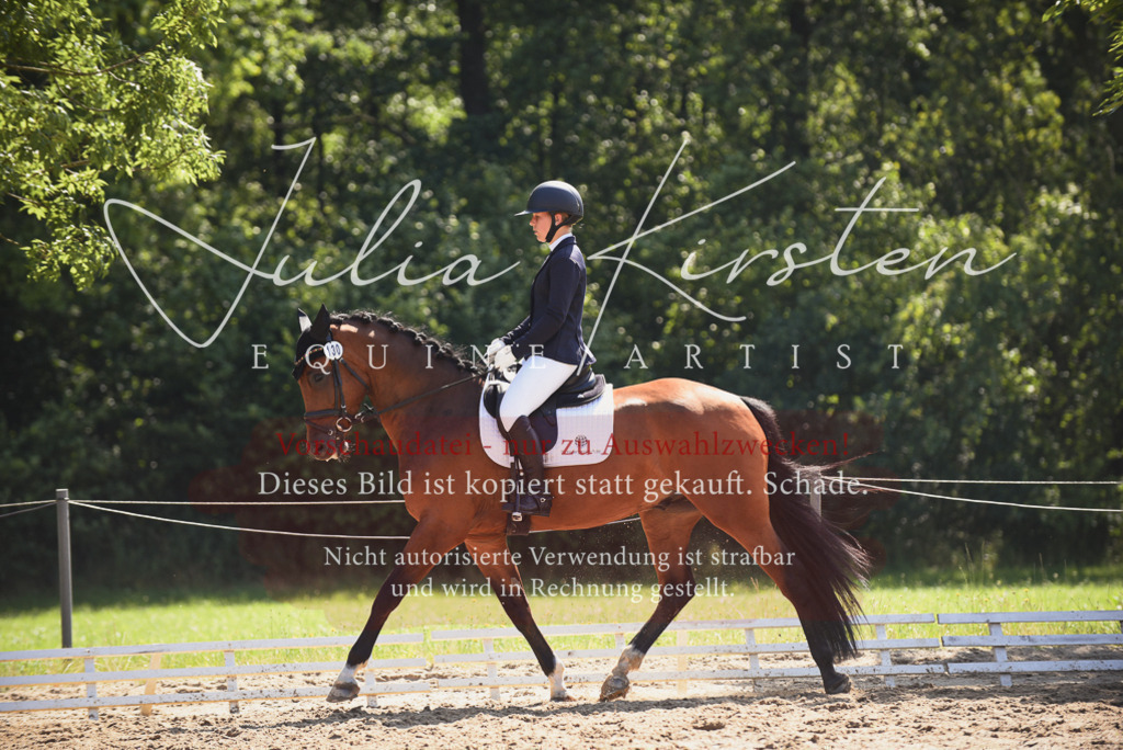 DSC_0563 | Pferde- und Turnierfotografie in Westsachsen. Pferdeportraits, Auftragszeichnungen und intuitive Kunst.