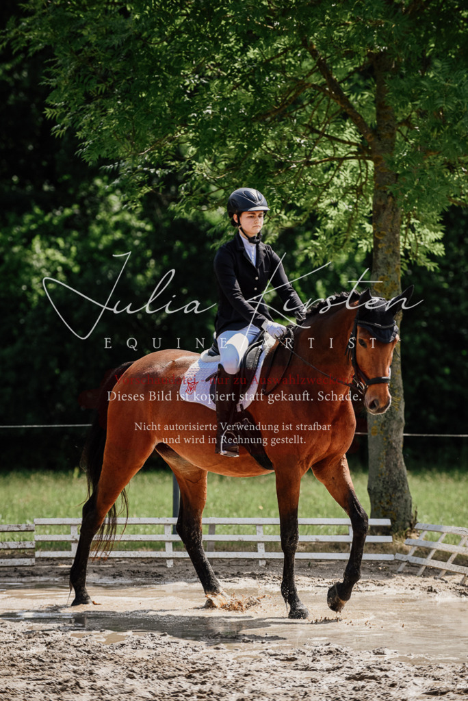 DSC_0958 | Pferde- und Turnierfotografie in Westsachsen. Pferdeportraits, Auftragszeichnungen und intuitive Kunst.