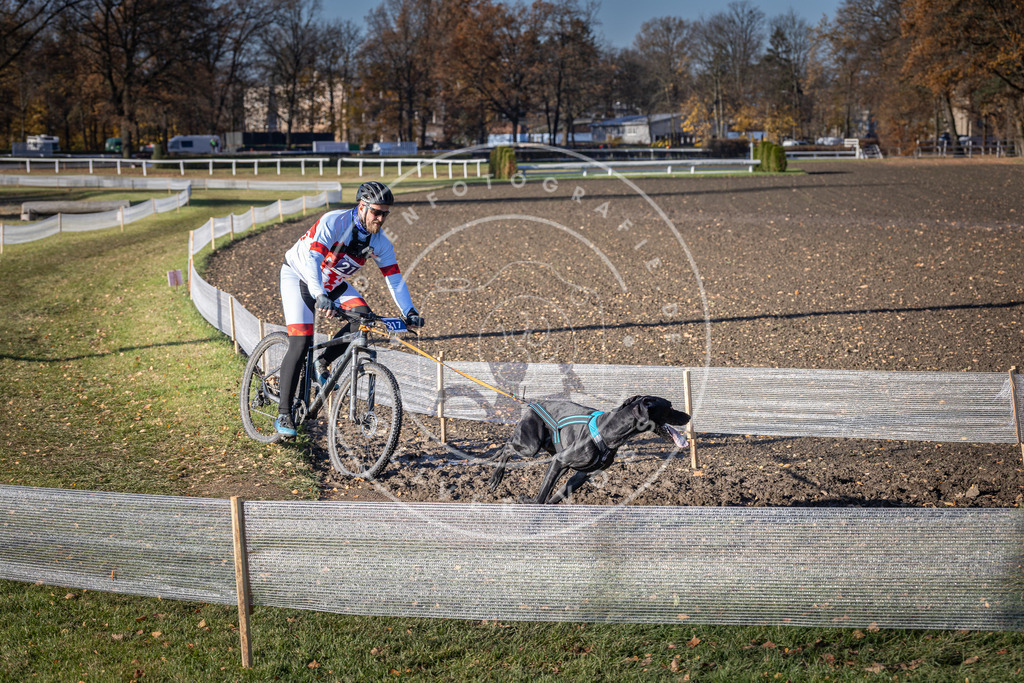 CaniXpix_DV3A3343 | Hundefotografie, Tierfotograf, Pfotenfotografie, Fotoshooting Hund, Hunde Portrait, Hundesport, Hundeportraits, Heideshooting, Hunde, Sportfotograf, Hundefotograf, Turnierhundsport, THS,  - Realisiert mit Pictrs.com