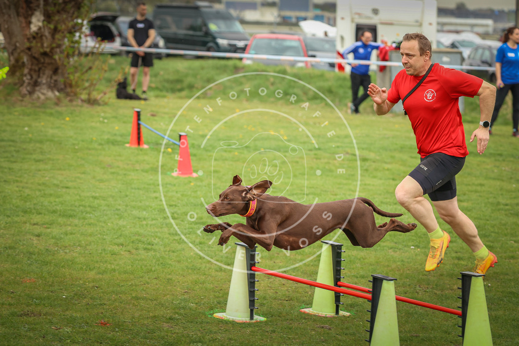 Pfotenfotografie_0L8A1144 | Hundefotografie, Tierfotograf, Pfotenfotografie, Fotoshooting Hund, Hunde Portrait, Hundesport, Hundeportraits, Heideshooting, Hunde, Sportfotograf, Hundefotograf, Turnierhundsport, THS,  - Realisiert mit Pictrs.com