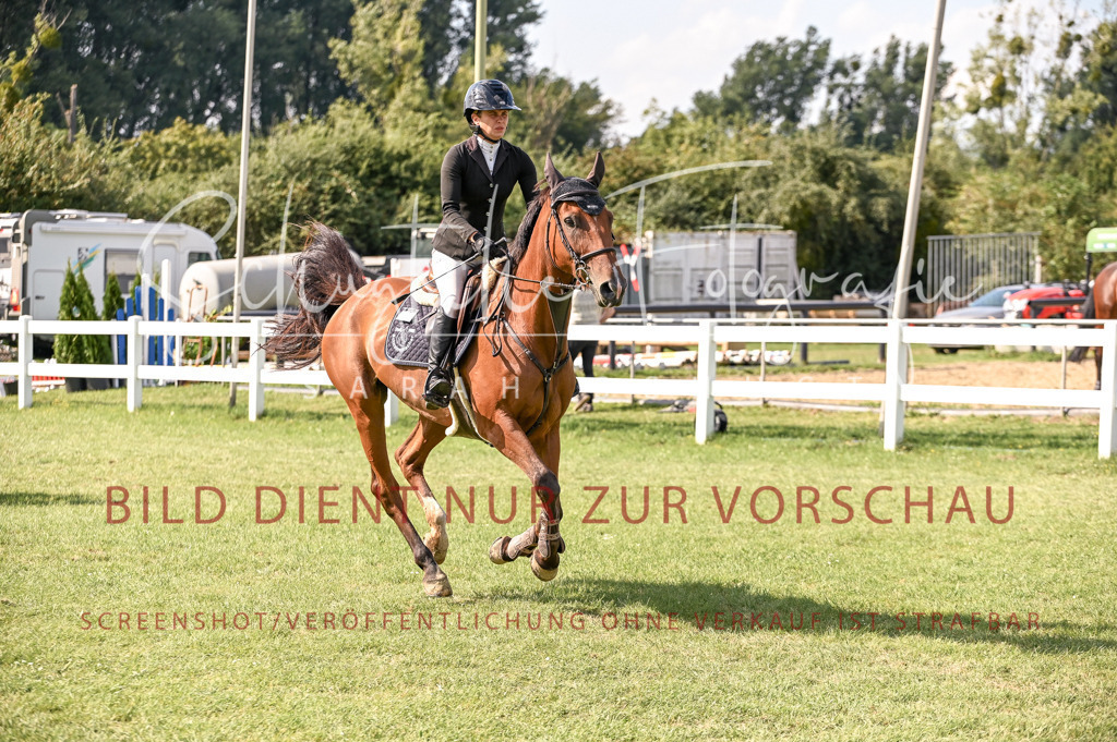 Schugtsche-Düren.2024-10.Springprf.M_-44 | Schugtsche Fotografie - Realisiert mit Pictrs.com