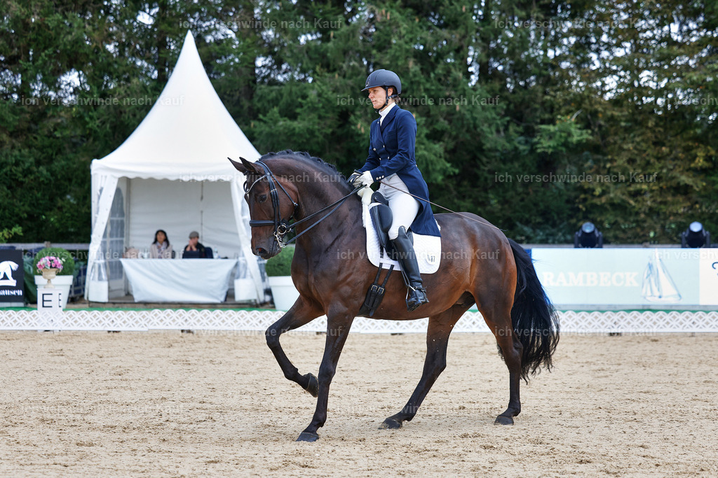 8_1-087-Klasse S_  -StoibPH-3832 | working equitationturnier fotograf videograf stoibphotography marixx film working equitation deutschland reitsport turnierfotografie eventfotografie equestrian events