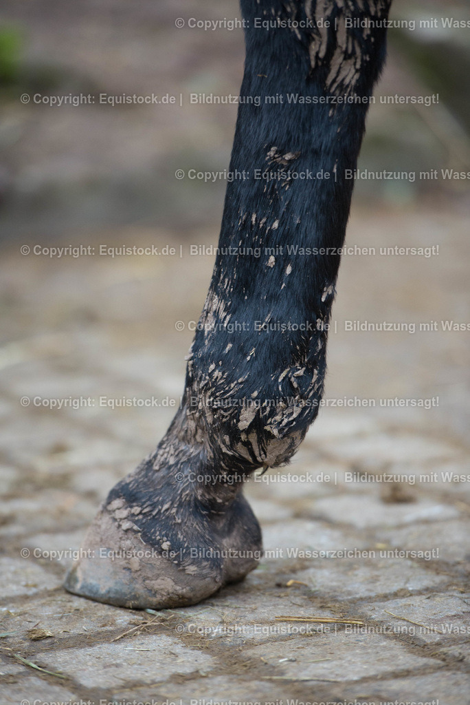 TPA_8268 | Foto: Thomas Hartig