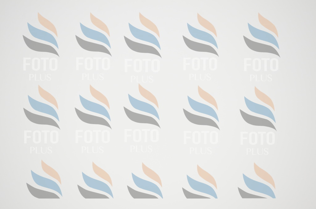 C1411 | holidayphoto