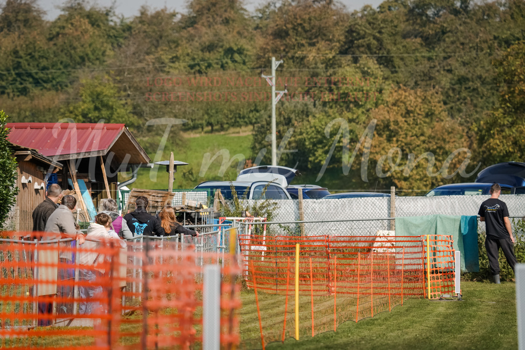 20250928_Hunderennen-395 | MuT (Mensch und Tier) mit Mona - Fotografie und Tierkommunikation - Realisiert mit Pictrs.com