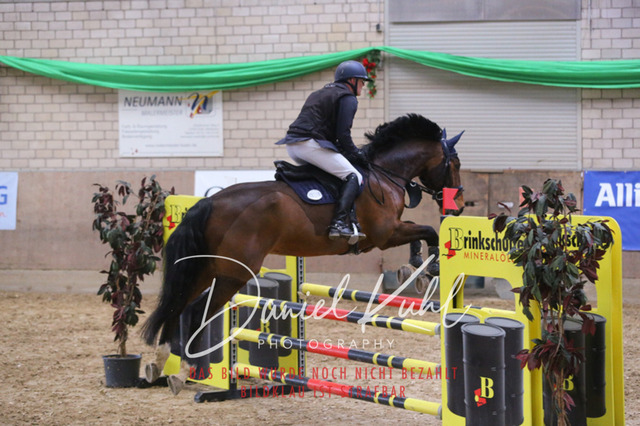 IMG_0628 | Turnierfotos kaufen im Webshop von Daniel Kuhl Photography – entdecke professionelle Reitsportfotos aus Turnieren & Events. Hochwertige Turnierbilder online bestellen & sichern. Jetzt Fotos von Reitsportturnieren kaufen!