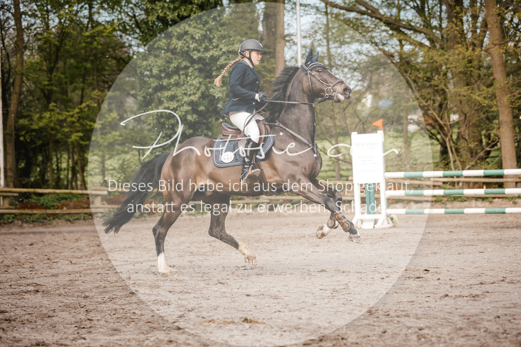 3I6A3357 | Stimmungsvolle Portraits und Reitsportfotografie im Ruhrgebiet und im Münsterland.

Pferdefotografie, Hundefotografie, Tierfotografie, Reportagen, Portraits von Tier und Mensch, Turnierfotografie in Bochum, Recklinghausen, Marl, Haltern am See, Dülmen.. - Realisiert mit Pictrs.com