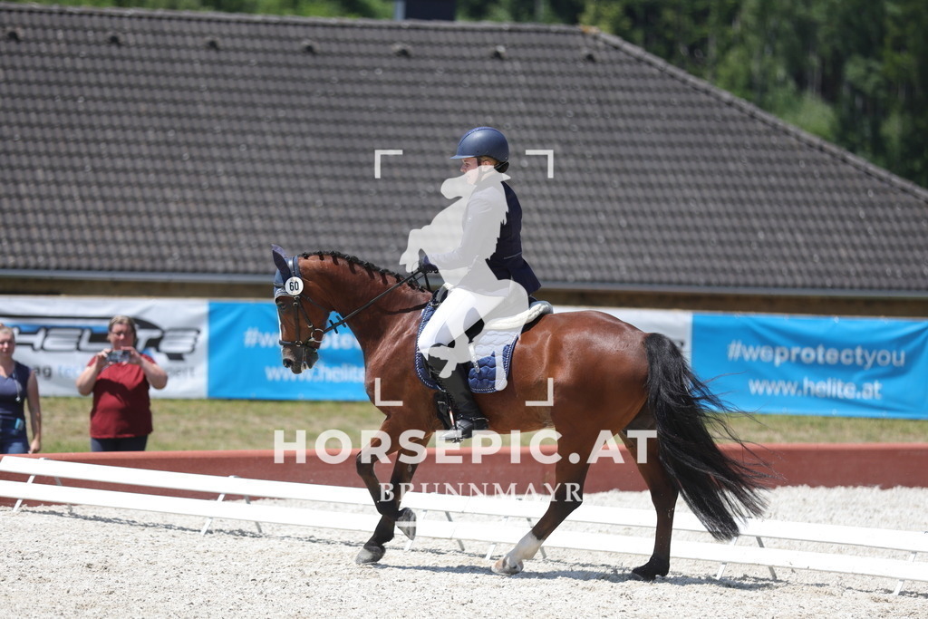 0P6A6339 | Willkommen bei Brunnmayr - Design & Fotografie – Ihrem Spezialisten für Reitturniere und Pferdeveranstaltungen in Oberösterreich, Salzburg und Bayern! Seit über 17 Jahren sind wir leidenschaftlich dabei.