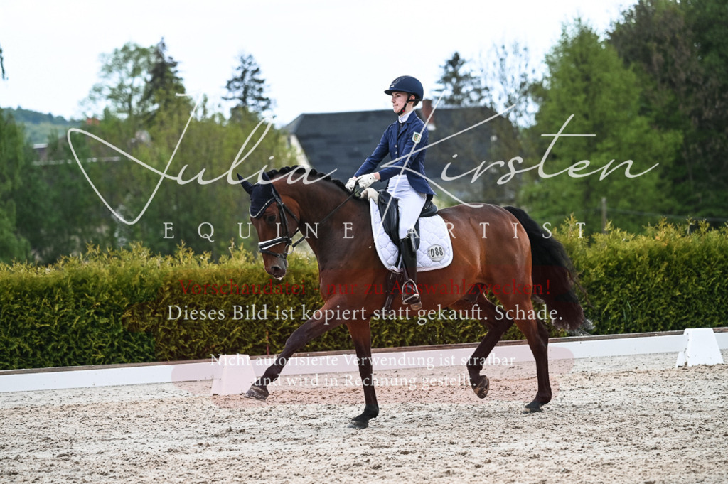 20230513_JK-Röhrsdorf-11-248 | Pferde- und Turnierfotografie in Westsachsen. Pferdeportraits, Auftragszeichnungen und intuitive Kunst.