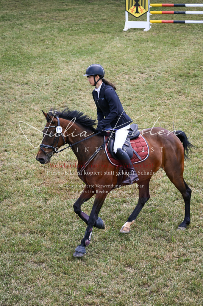 DSC_9417 | Pferde- und Turnierfotografie in Westsachsen. Pferdeportraits, Auftragszeichnungen und intuitive Kunst.