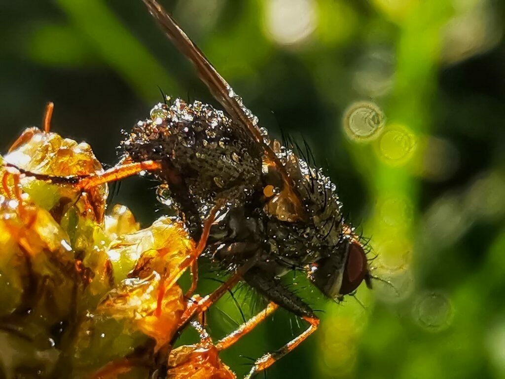 PSX_20220923_063310 | mtkfoto_ - Realisiert mit Pictrs.com