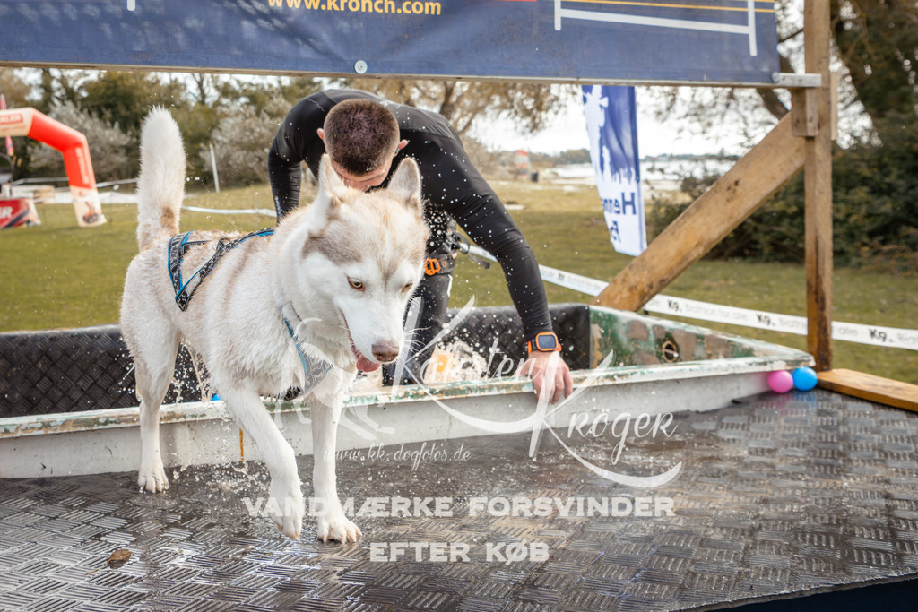 1356_ZZ92890-2 | kk-dogfotos