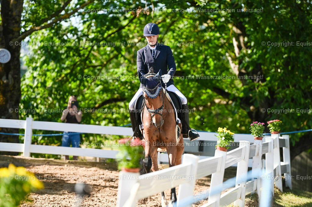 20230715_06_Dressurpferdeprfg. Kl.A_0208 | equistock