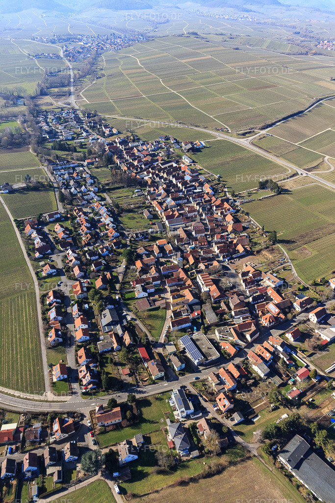 Luftbild: Dorfübersicht aus Osten im Ortsteil Wollmesheim in Landau im Bundesland Rheinland-Pfalz in Deutschland. Foto: IMG_125272.jpg vom 21.02.2021 durch Werner Riehm/FLY-FOTO.de