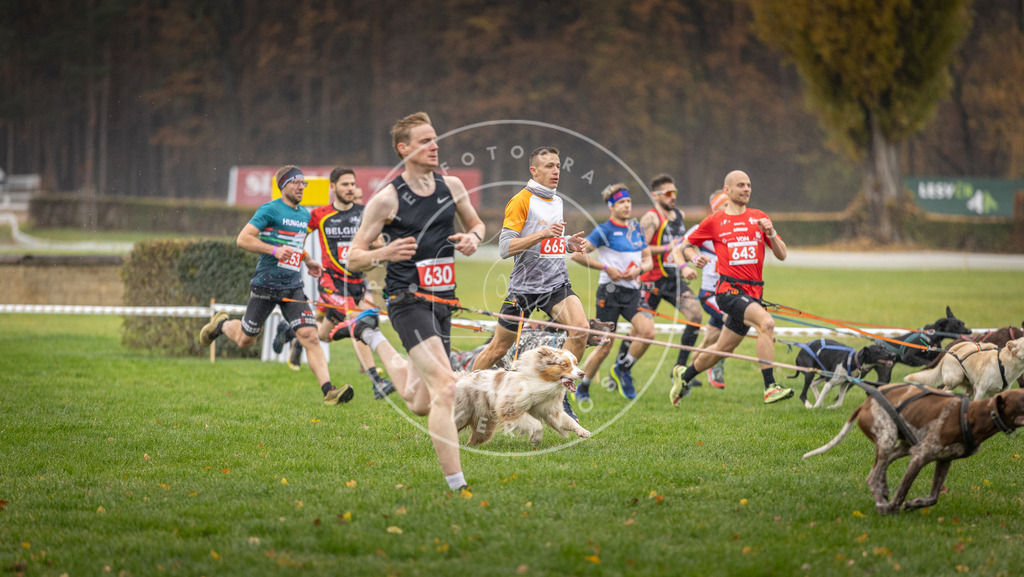 CaniXpix_DV3A9492 | Hundefotografie, Tierfotograf, Pfotenfotografie, Fotoshooting Hund, Hunde Portrait, Hundesport, Hundeportraits, Heideshooting, Hunde, Sportfotograf, Hundefotograf, Turnierhundsport, THS,  - Realisiert mit Pictrs.com