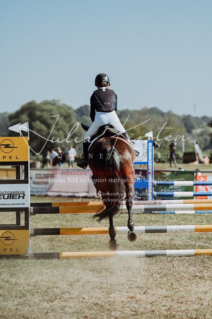 DSC_9505 | Pferde- und Turnierfotografie in Westsachsen. Pferdeportraits, Auftragszeichnungen und intuitive Kunst.