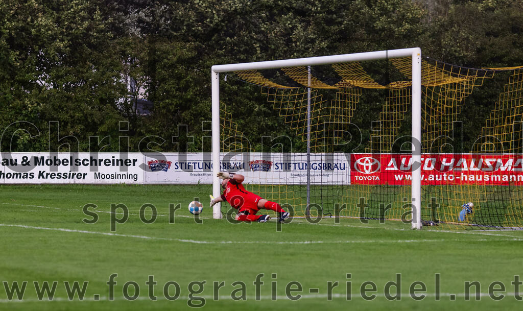 2023-08-08_056_FC_Moosinning_gegen_FC_Langengeisling | Moosinning, Deutschland, 08.08.2023:
Fußball, Bezirksliga Oberbayern Ost 2023 / 2024, 3. Spieltag, FC Moosinning gegen FC Langengeisling, Endergebnis: 0:4

Torwart Christian Brader (FC Langengeisling, #1)

Foto: Christian Riedel / fotografie-riedel.net