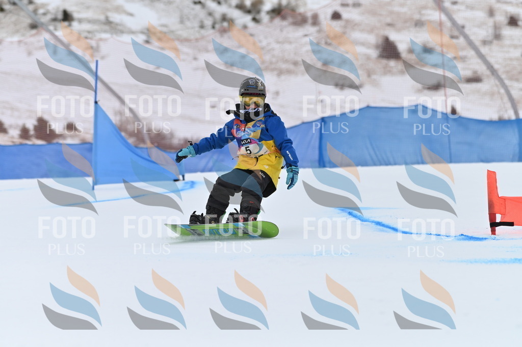 BGV_3803 | holidayphoto